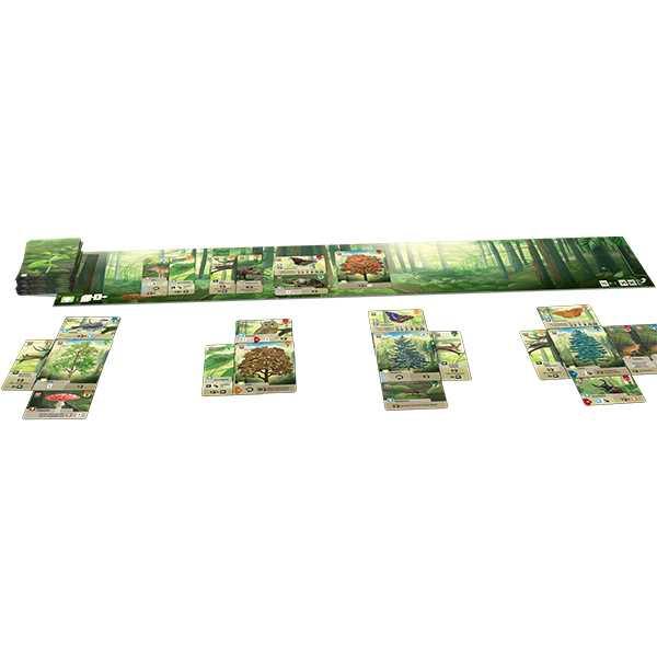 Forest Shuffle Board Game - Clownfish Games