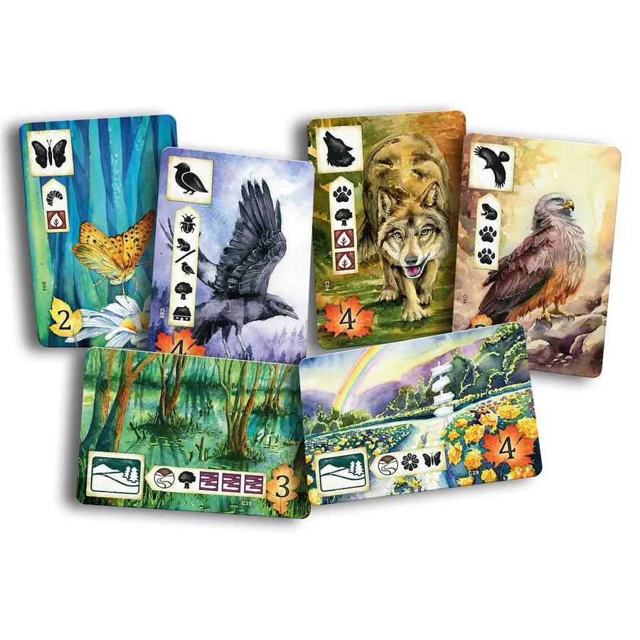 Meadow Board Game Contents