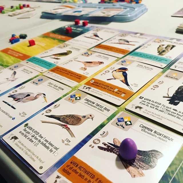 Wingspan Board Game: European Expansion - Clownfish Games