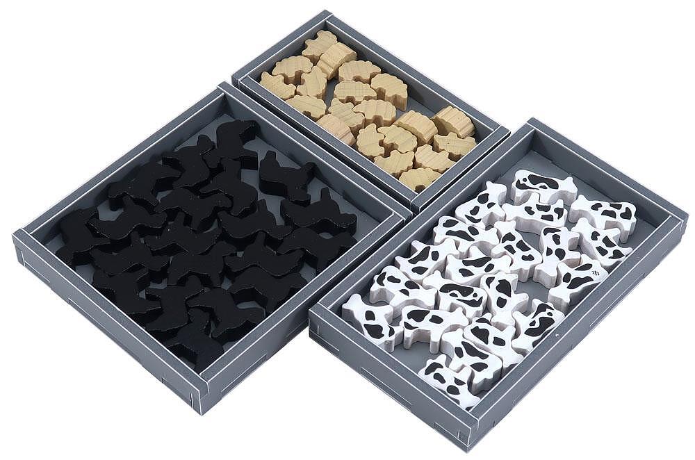 Fields of Arle Folded Space Insert - Clownfish Games