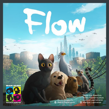 Flow Board Game