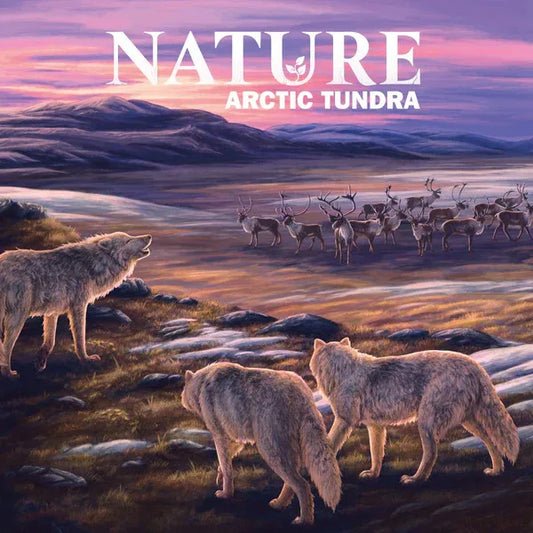 Three wolves and a herd of reindeer in an Arctic tundra landscape with 'NATURE ARCTIC TUNDRA' text.