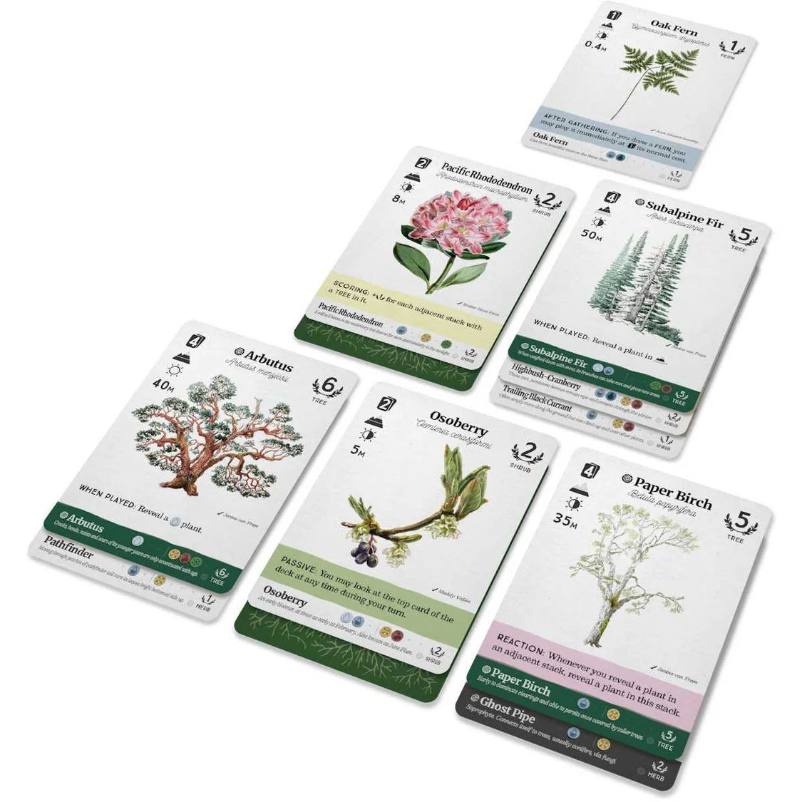 Set of plant-themed cards on a white background