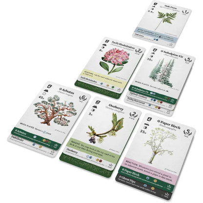 Set of plant-themed cards on a white background
