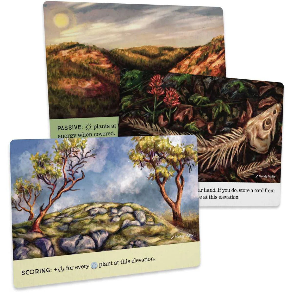 Set of nature-themed cards with landscapes and plants on a white background