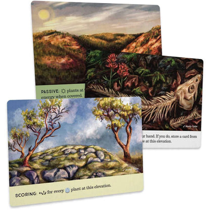 Set of nature-themed cards with landscapes and plants on a white background