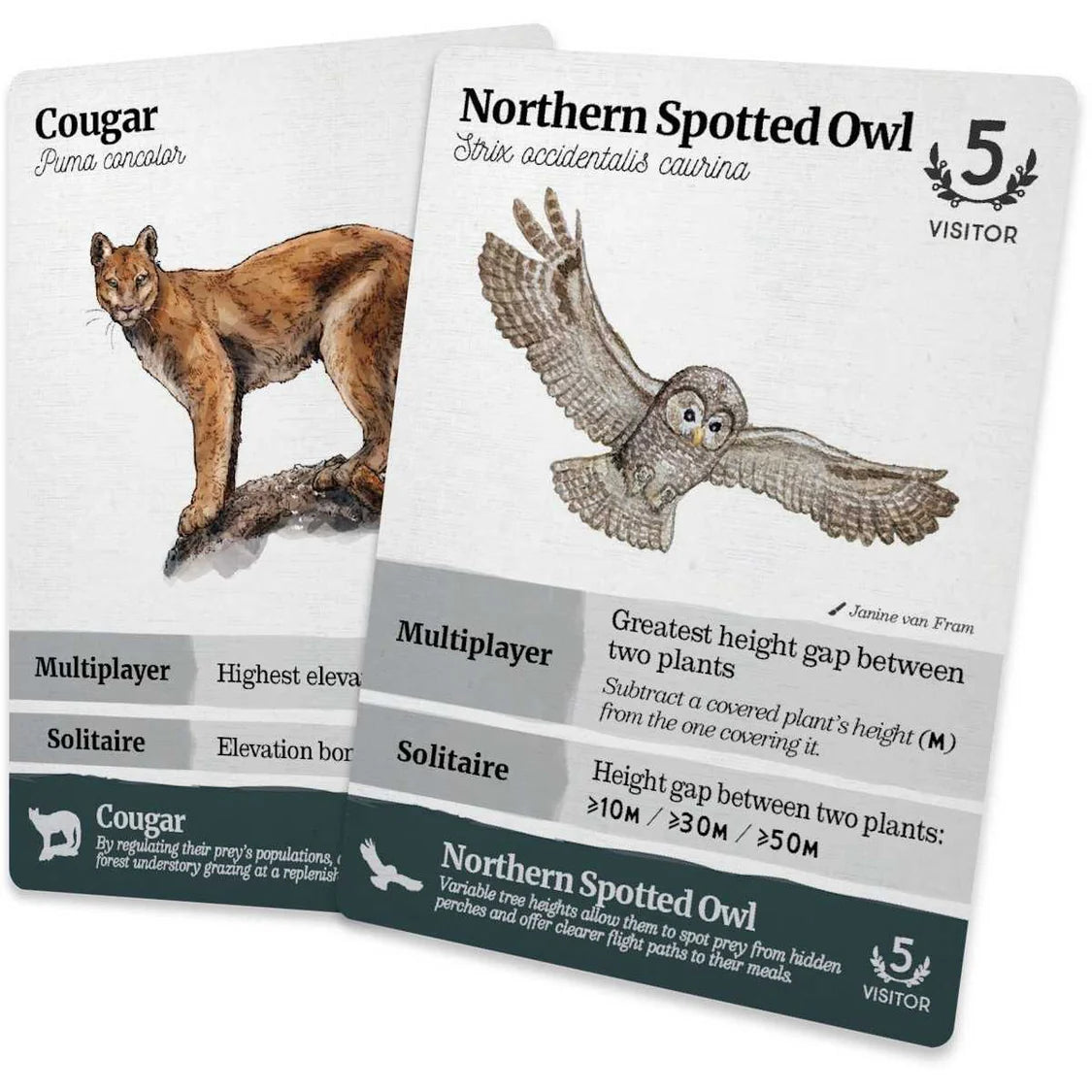 Two game cards featuring a cougar and a northern spotted owl on a white background.
