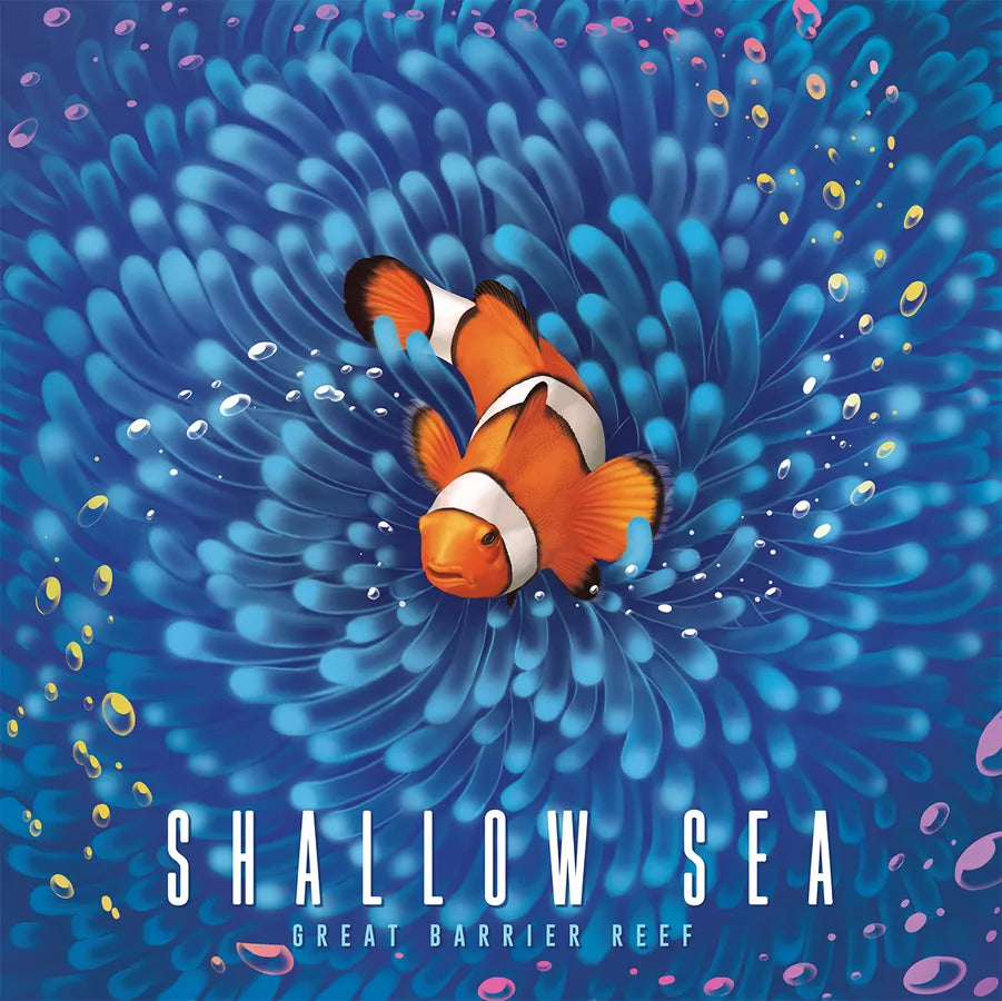 Illustration of a clownfish among coral with 'Shallow Sea' text