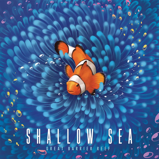 Illustration of a clownfish among coral with 'Shallow Sea' text