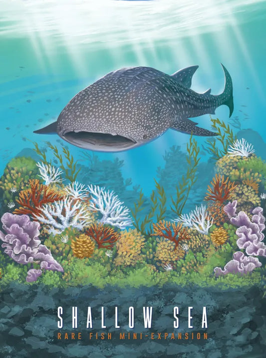 Illustration of a whale shark in an underwater scene with colorful coral.